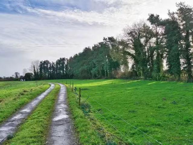 Dreenane, Carbury, Co. Kildare, W91KR27 is for sale