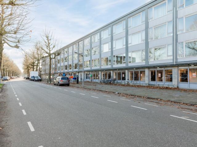 Dries, 18, 6006HS, Weert, Limburg 6006HS