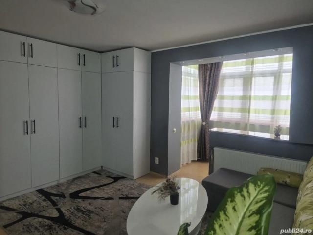 Dristor etaj 10 park lake