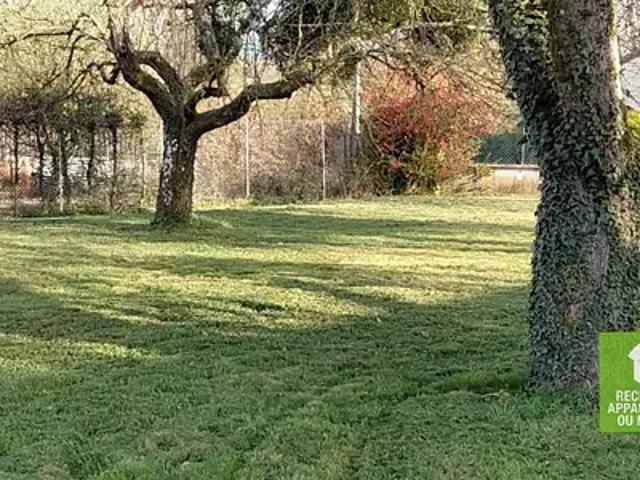 Druillat 01160 Achat / Vente terrain