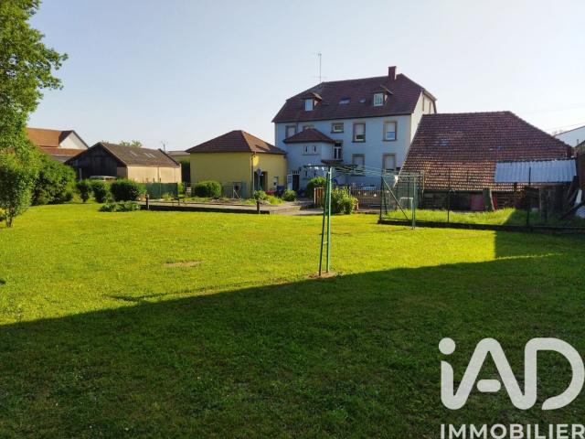 Drulingen Vente Immeuble 67