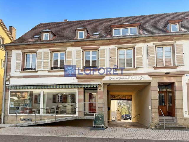 Drulingen Vente Immeuble 67