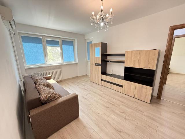 Drumul Taberei Parcul Moghioros Pet Friendly