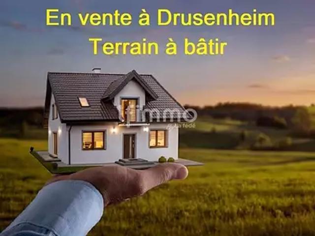 Drusenheim 67410 Achat / Vente terrain
