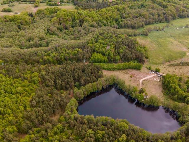 Drzewiany 209 500 m², Drzewiany