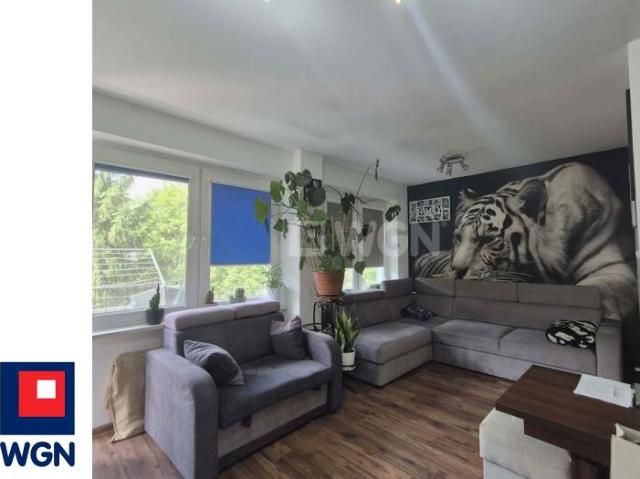 Drzewieckiego 60 m², Mielec