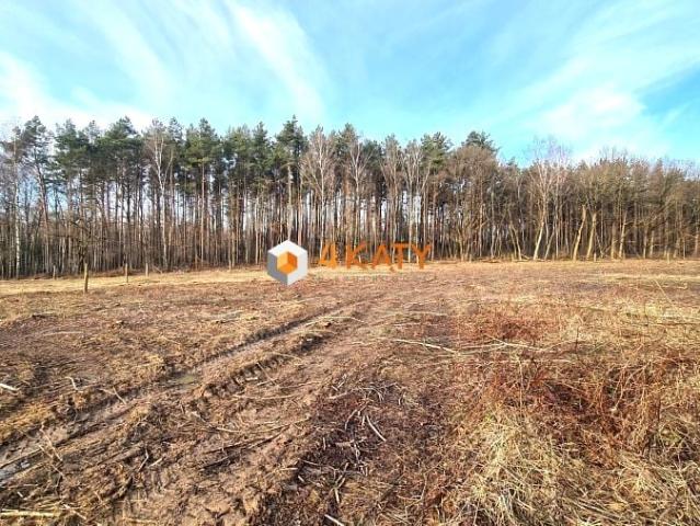Drzonków Agrestowa 3 912 m², Zielona Góra