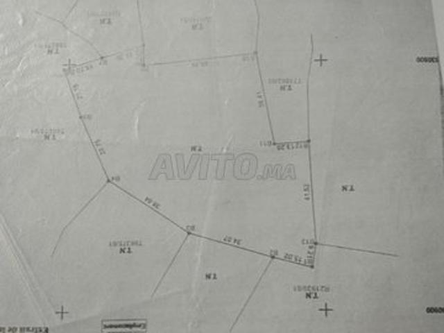 دوار بني مسلم ناحية أصيلة طنجة