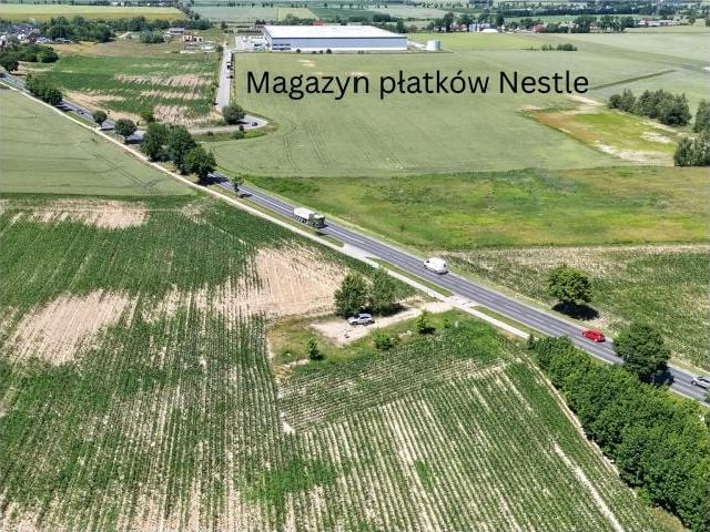 Dworcowa 10 500 m², Grębocin