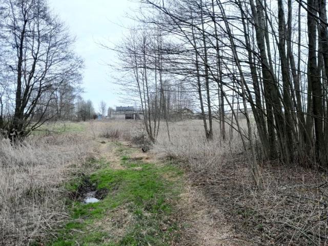 Dworska 1 184 m², Rzakta