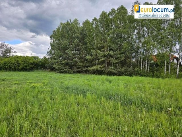 Dworska 842 m², Kostomłoty Pierwsze