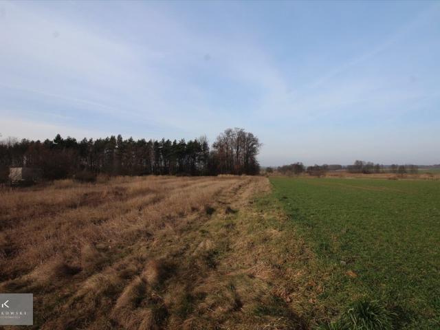 Dwie działki w Dziadowej Kłodzie, 1701 i 1755 m², media, warunki zabudowy