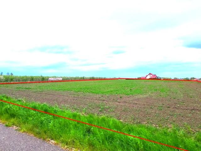 Dwie Topole 7 721 m², Kolnik