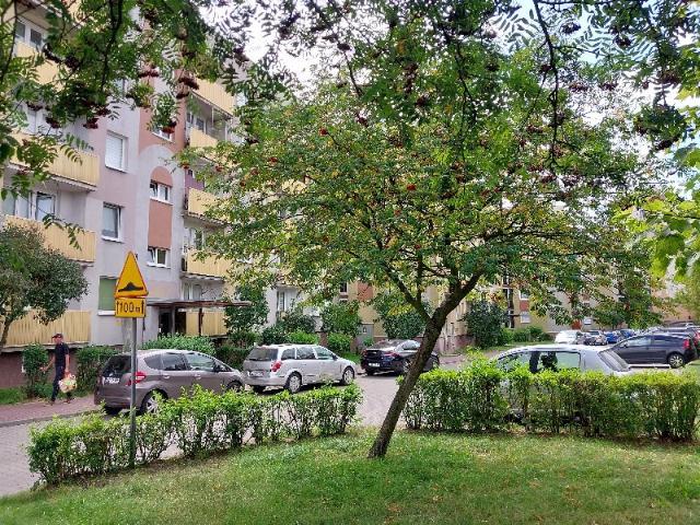Do sprzedania przestronne mieszkanie 42 m² w Częstochowie