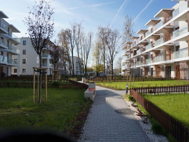 Dwupokojowe mieszkanie do wynajęcia