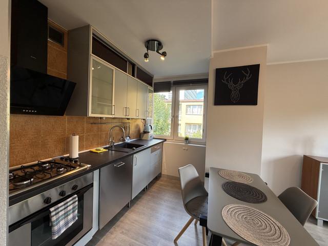 Mieszkanie do wynajęcia, śląskie Katowice Brynów, 2700 PLN, 40 m2, domy gratka 48032899