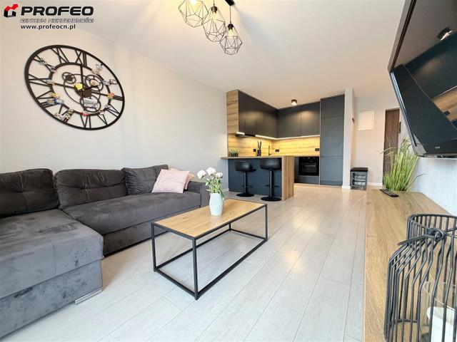 Mieszkanie do wynajęcia, Bielsko Biała M. Bielsko Biała Wapienica, 2300 PLN, 43,86 m2, domy PCN MW 12944