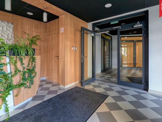 Mieszkanie do wynajęcia, Kraków Dębniki Sandomierska, 4900 PLN, 43,5 m2, domy 25/17430/OMW
