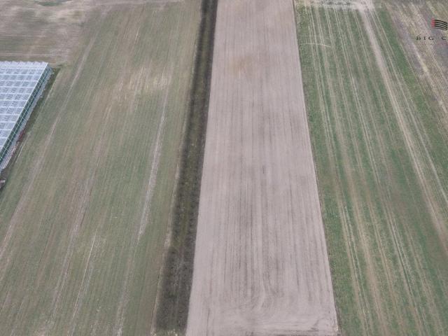 Duża działka 12 650 m² z potencjałem siedliskowym
