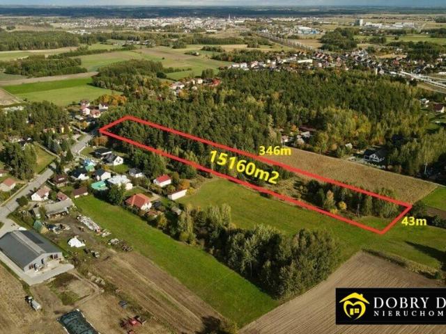 Duża działka 15 160 m² z lasem i mediami, inwestycja