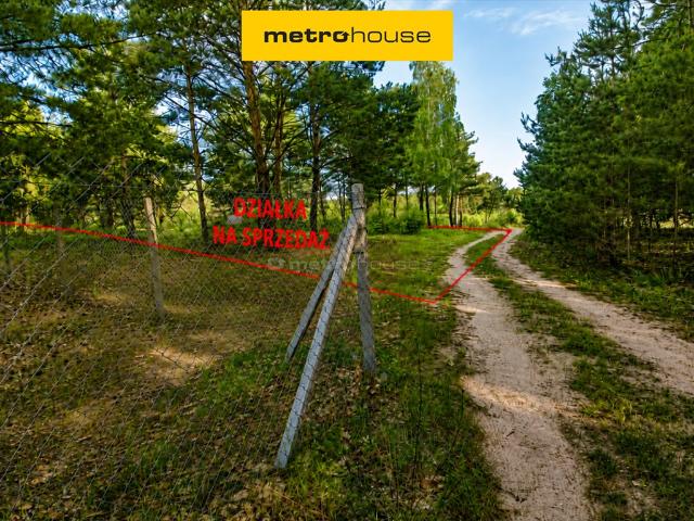 Duża działka 3000 m² w Bolimowskim Parku, las, spokój
