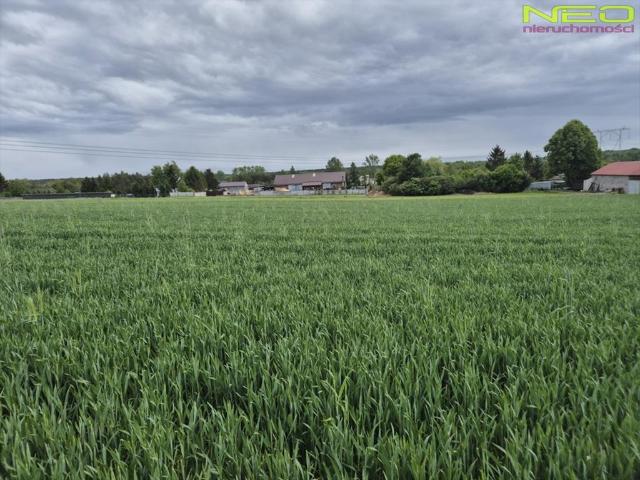 Duża działka 4470 m² z planem zagospodarowania