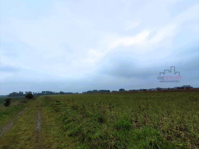 Duża działka 6600 m² z warunkami zabudowy, cisza i natura