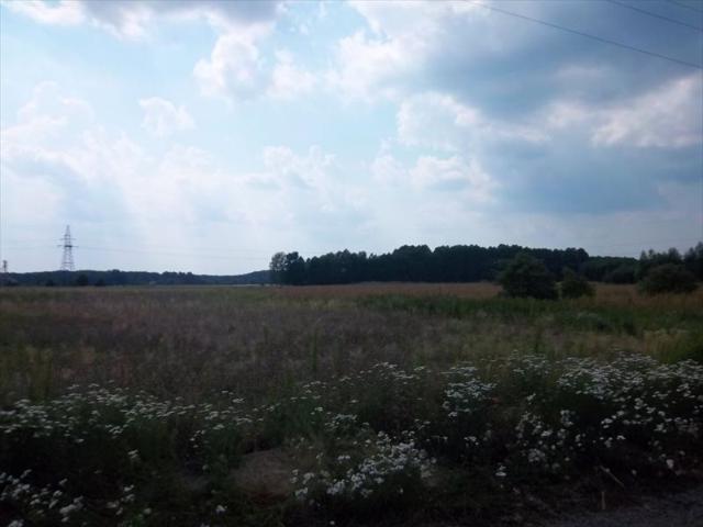 Duża działka budowlana 15 063 m² z warunkami zabudowy