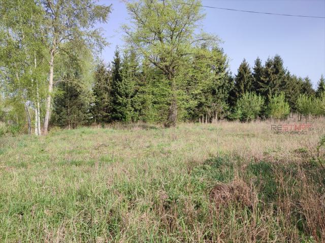 Duża działka budowlana 9500 m² w Opypach – potencjał inwestycyjny