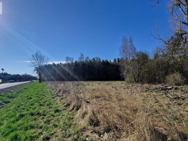 Duża działka budowlana 9 875 m² z WZ, las i jeziora