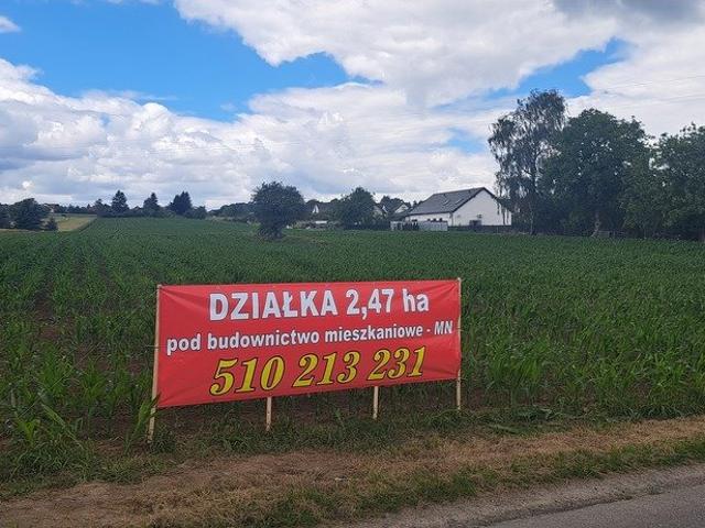 Duża działka pod zabudowę 10 domów w Krępiecju