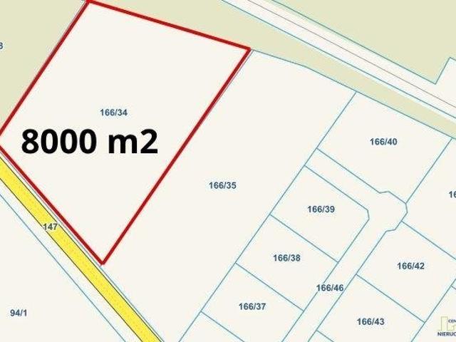 Polecam dużą działkę 8 000 m² z lasem i możliwością podziału