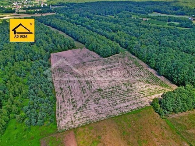 Duża działka rolna 40 000 m² przy drodze wojewódzkiej