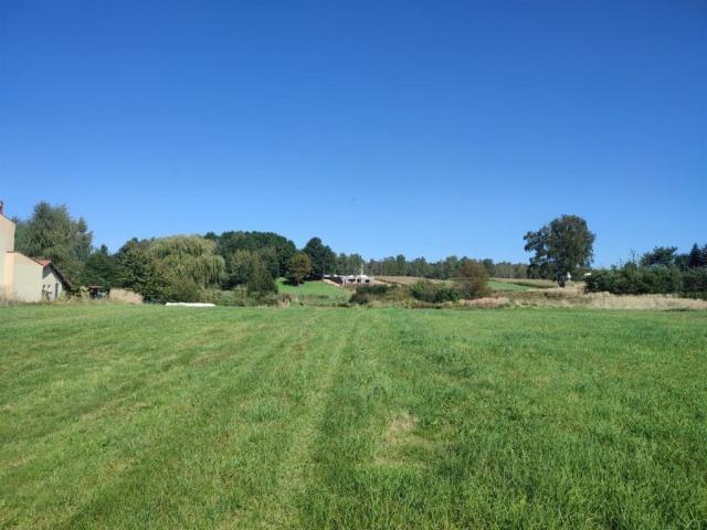 Duża działka z stawami i lasem, Żory, 8580 m2