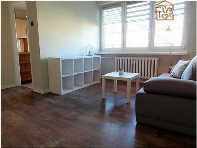 Duża kawalerka, 33m2, pet friendly Budowlana 104