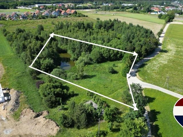 Duża zalesiona działka z lasem i stawem pod Gdańskiem