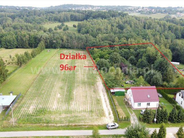 Duża 96 ar działka z lasem i mediami – inwestycja
