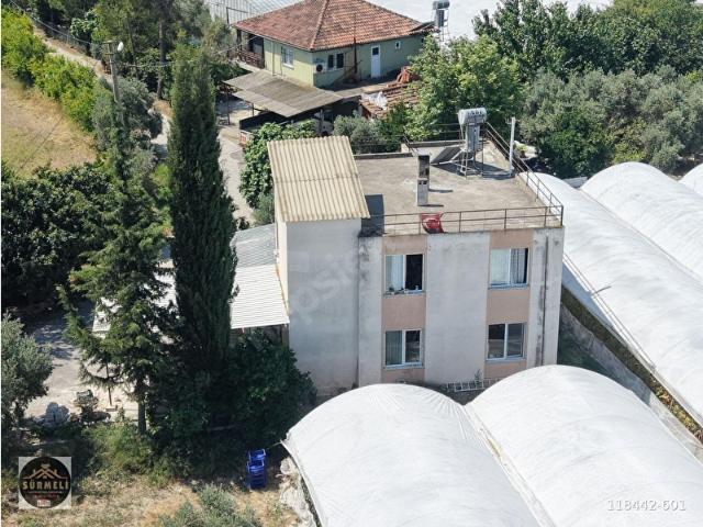 Dumanlar'da 4.300m Tarla Evli, Serali, KÖYİÇİ BAHÇE NİTELİĞİ