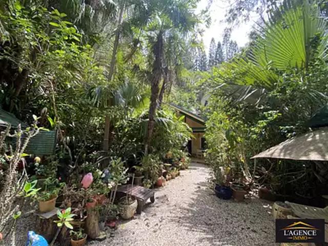 Dumbéa 98835 Achat / Vente maison 3 pièces t3 piscine terrasse