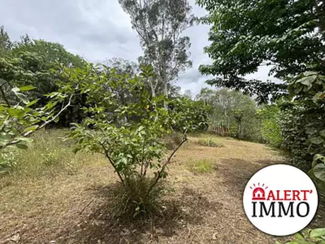Dumbéa 98835 Achat / Vente terrain