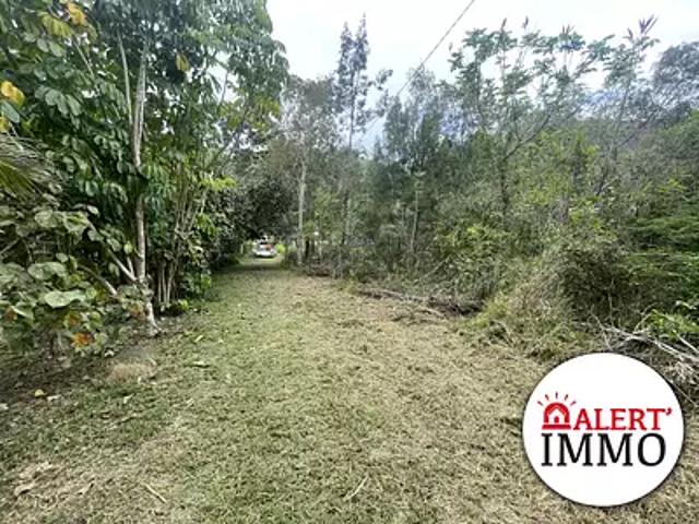 Dumbéa 98835 Achat / Vente terrain