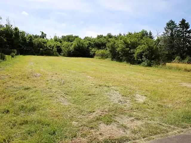 Dun sur Meuse 55110 Achat / Vente terrain