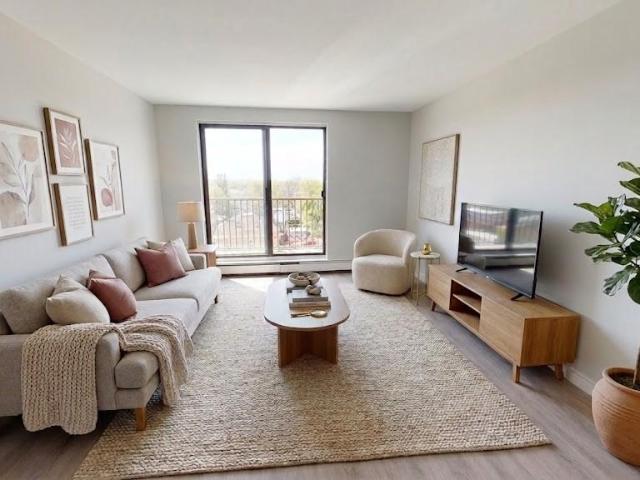Dundas Apartments Two Bedroom Apartment Apartment for Rent