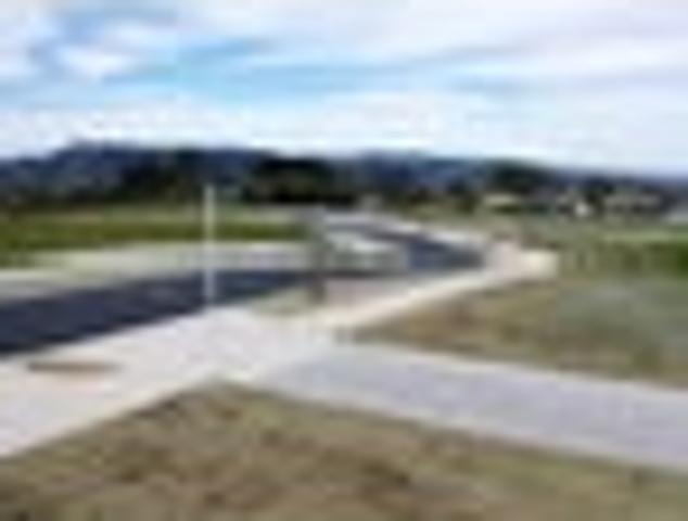 Dunedin's best sections minutes from the Octagon