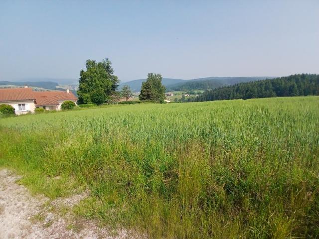 Dunières Vente Terrain 43