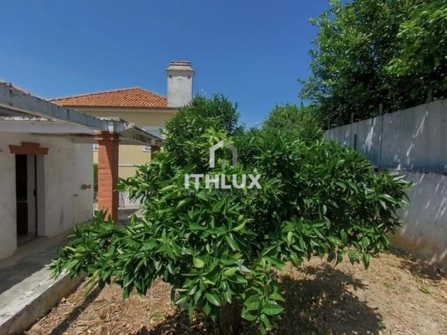 Duas moradias com 19 divisões, localizadas no Bairro Stª LUZIA – Elvas PORTUGAL