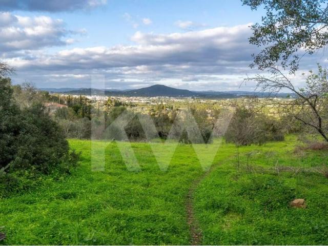 Duas Moradias para recuperar | Terreno 8000m2 | Vista espetácular para Fuseta