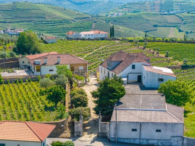 Duas quintas com 30ha para venda em Santa Marta de Penaguião, propriedade exclusiva no Douro