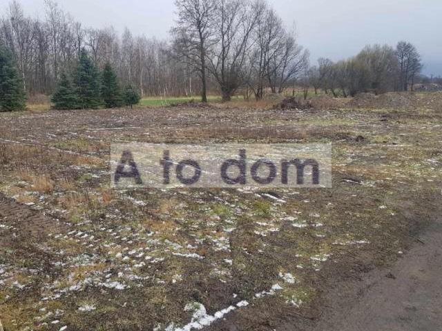Duczki, 860 m2
