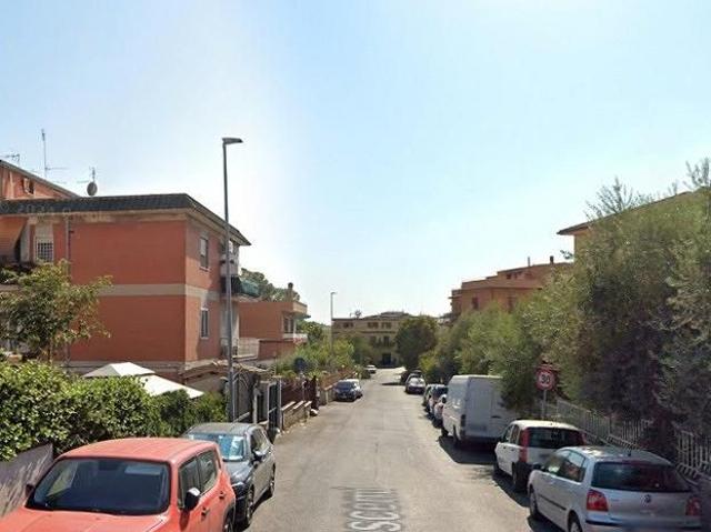 Due leoni stanza ad uso singolo